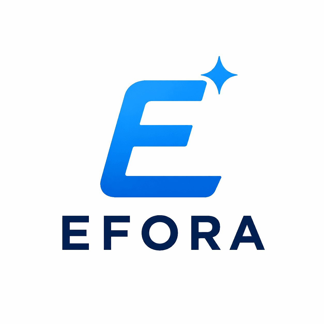 Professionelle Fensterreinigung durch Efora